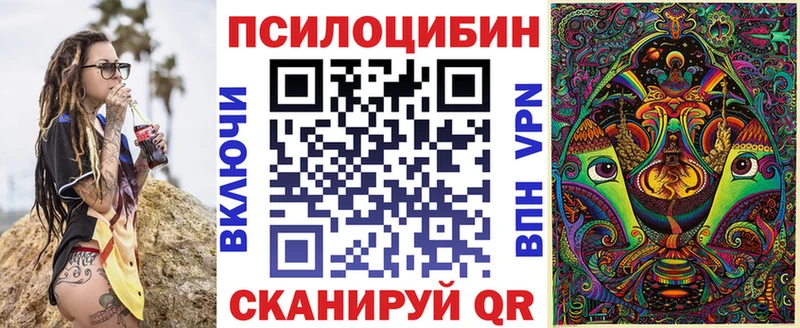 Псилоцибиновые грибы Cubensis Рубцовск